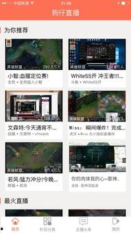 最新八卦圈爆料新闻直播,最新八卦圈爆料直播大揭秘！